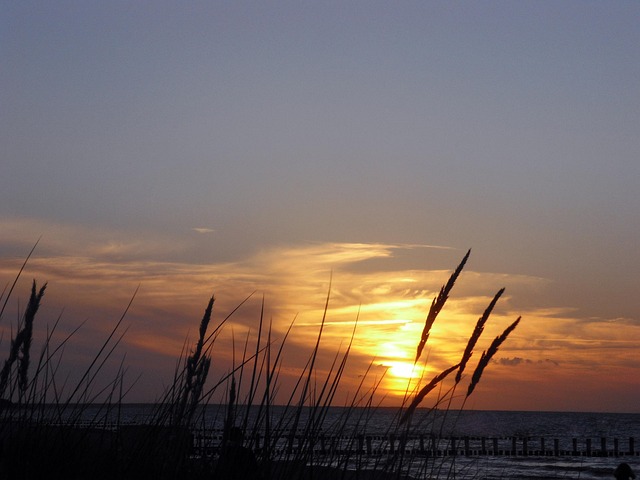 Free Zingst Eve photo and picture