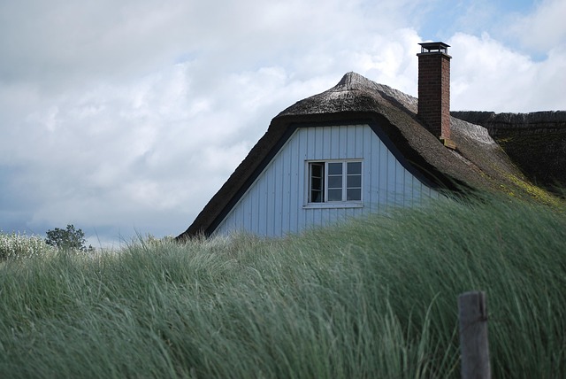 Free Baltic Sea Reed Roof photo and picture
