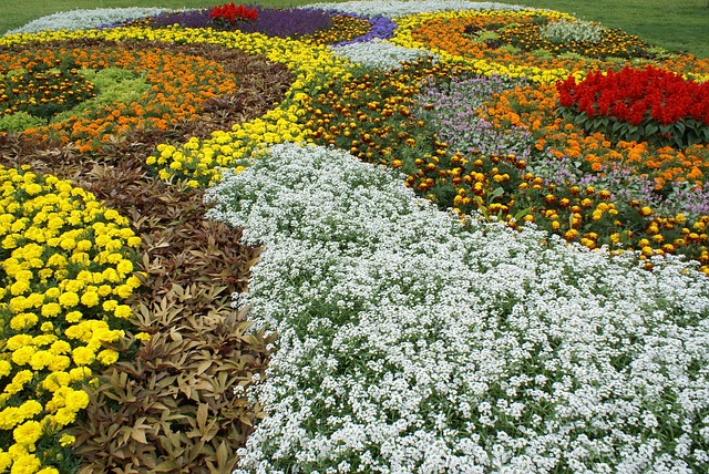 Free State Garden Show Flower photo and picture
