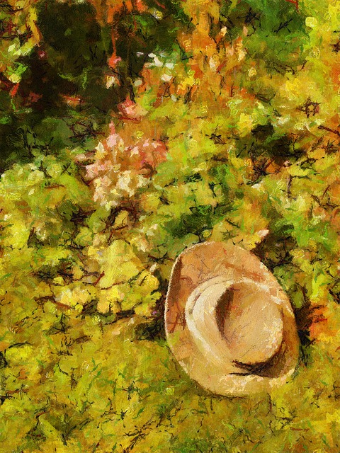 Free Summer Hat illustration and picture