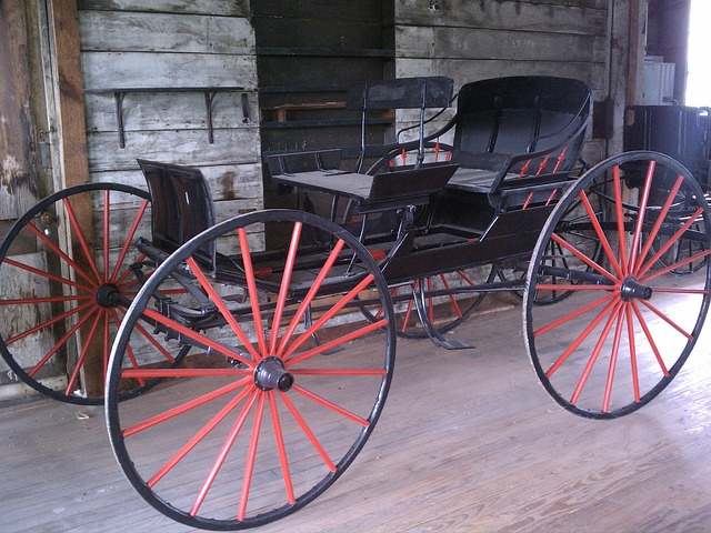 Free Carriage Waggon photo and picture