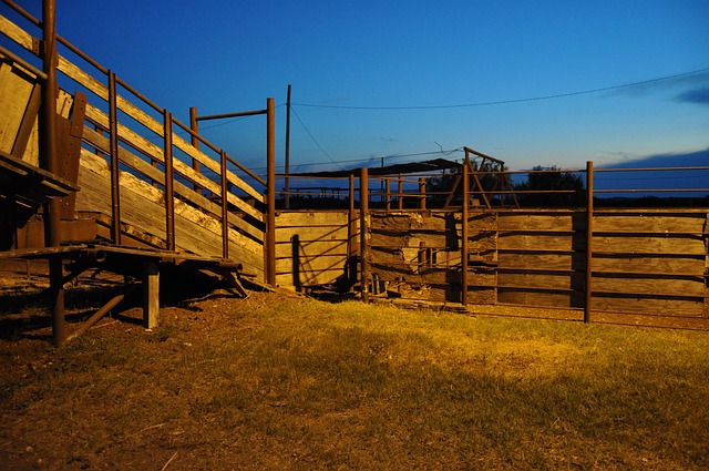 Free Corral Evening photo and picture