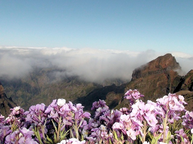Free Madeira Mountain photo and picture