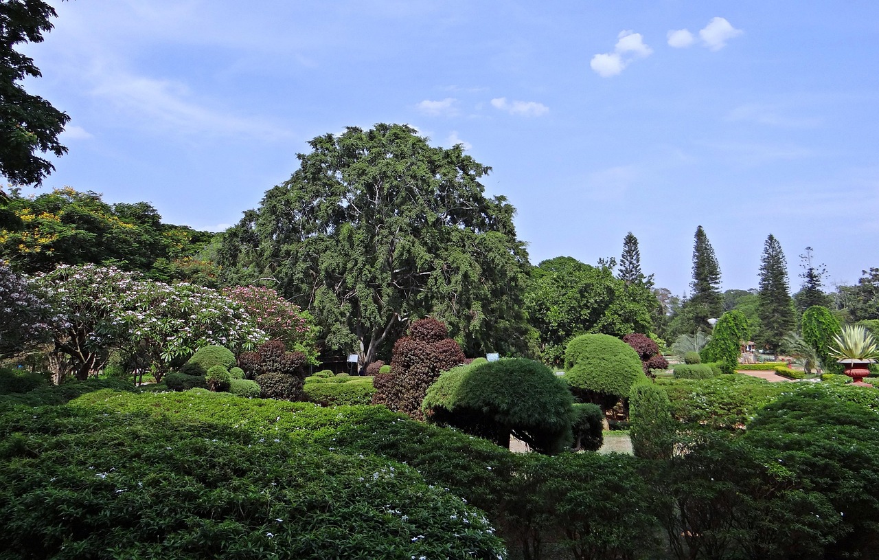 Botanical Garden Lal Bagh Park - Free photo on Pixabay - Pixabay