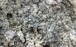 granite, gneiss, stone