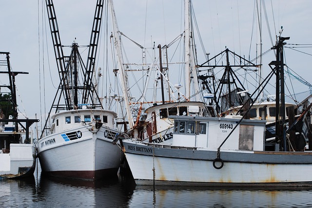 Free Boats Nature photo and picture