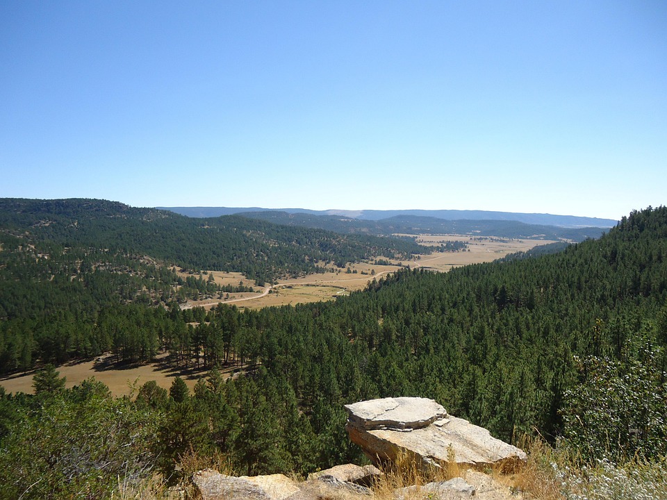 Free photo Wyoming, Big Sky, Trees, Rock Free Image on Pixabay 333461