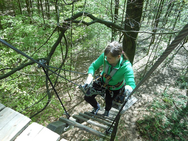 Free Climbing Forest Aachen photo and picture