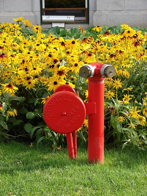 Free Fire Hydrant Hydrant photo and picture