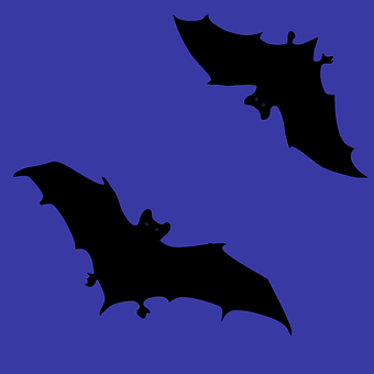 Free Bats Dark illustration and picture