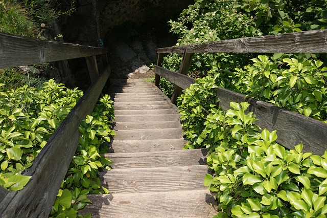 Free Wooden Stairs Stairs photo and picture
