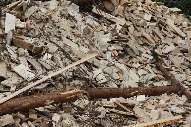 Free Wood Biomass photo and picture
