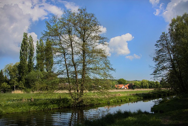 Landskab, Himmel, Skyer, Planter, Natur