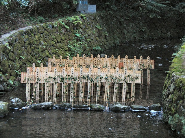 Free Japan Water photo and picture