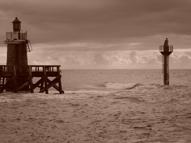 Forbi, Hav, Sepia