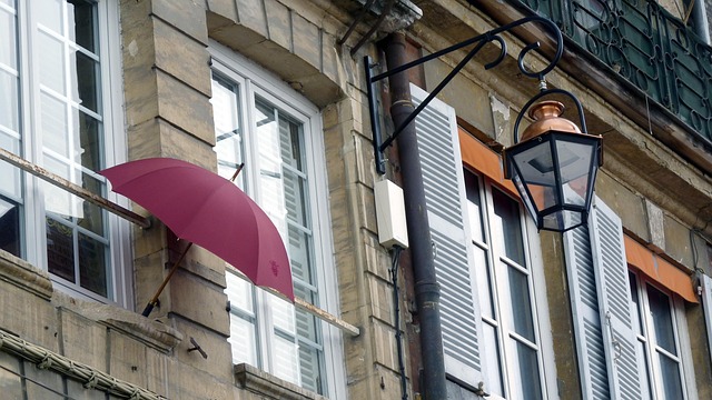 Free France Honfleur photo and picture