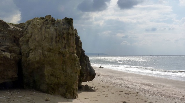 Free Beach Sand photo and picture