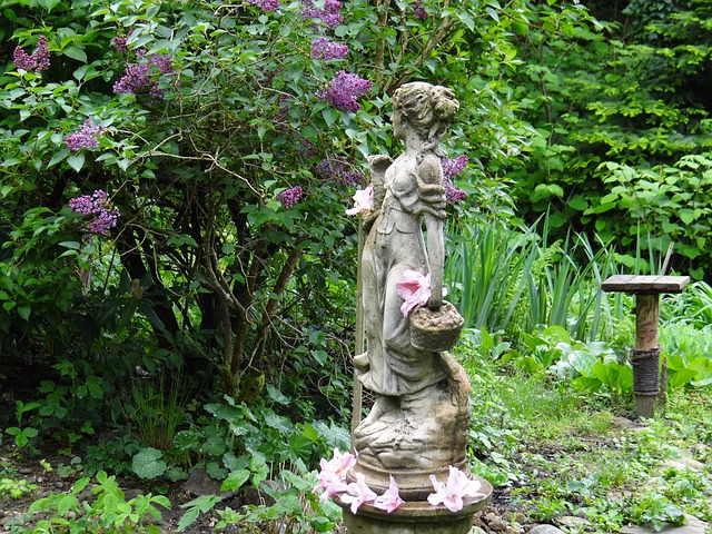 Free Garden Spring photo and picture