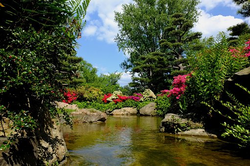 Free Dusseldorf Japanese Garden photo and picture