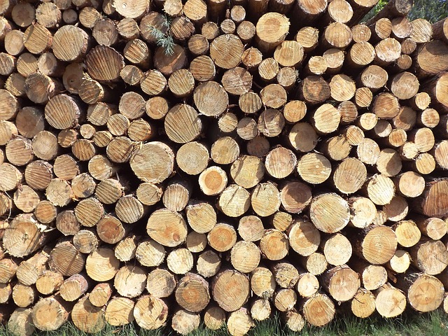 Free Pile Of Wood Nature photo and picture