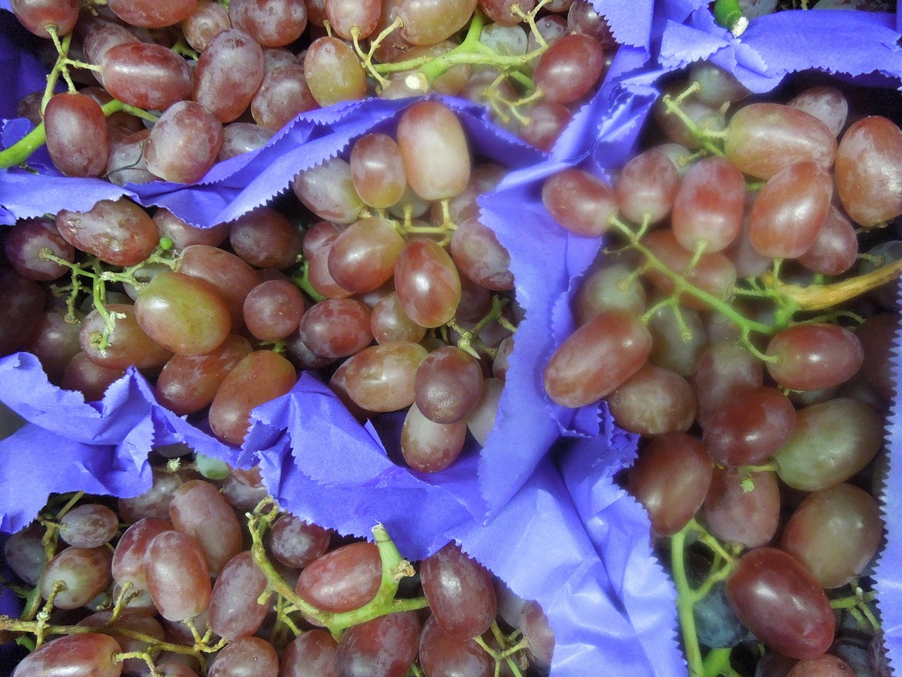 Grapes Red Fruit Free photo on Pixabay Pixabay