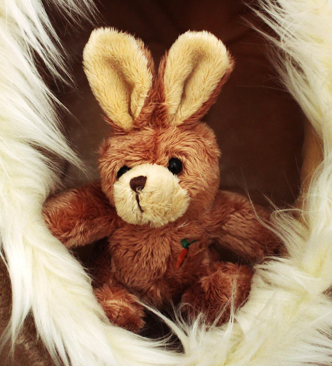 Mainan Lunak Kelinci Boneka · Foto gratis di Pixabay