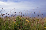 cliffs of moher, ireland, travel