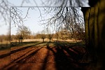 autumn, redecorated, long shadow