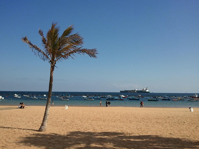 Free Beach Canary Islands photo and picture