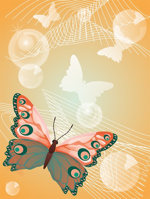 Free Butterfly Insect illustration and picture