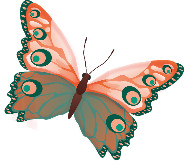 Free butterfly insect flight illustration