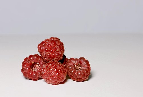 Free Raspberry Berries photo and picture