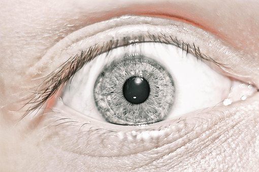 Free Eye Close-Up photo and picture