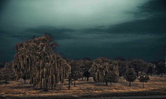 Free Thunderstorm Beach photo and picture