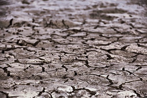 Free Land Cracks photo and picture