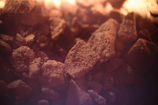 Free Coffee Macro photo and picture