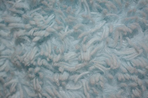 Free Fur Laptop Wallpaper photo and picture