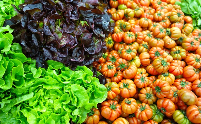 Free Salad Fresh photo and picture