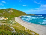 new zealand, sea, water