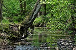 stream, bank, change