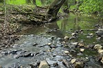 stream, bank, change