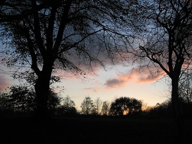 Free Heaven Clouds photo and picture
