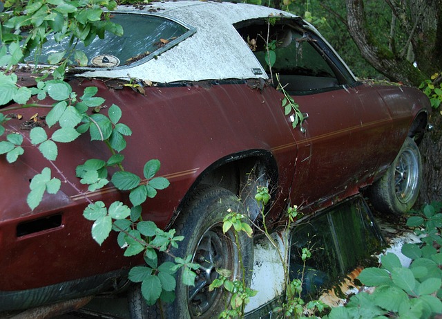 Free Car Cemetery Old photo and picture
