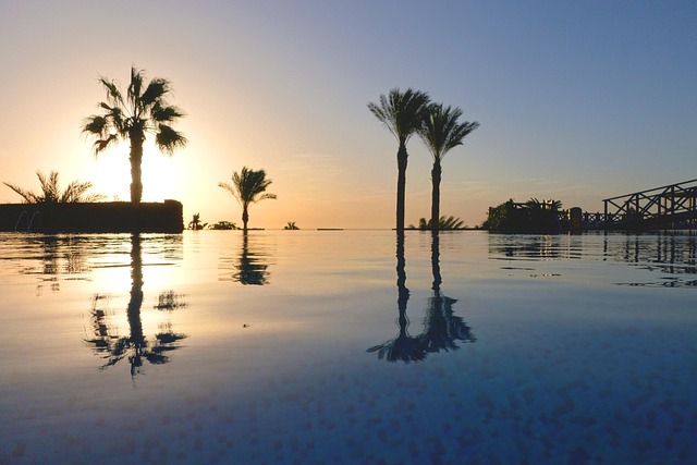Palmbomen, Zwembad, Vakantie, Hotel