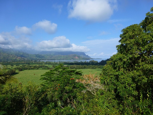 Free Kauai Hanalei photo and picture