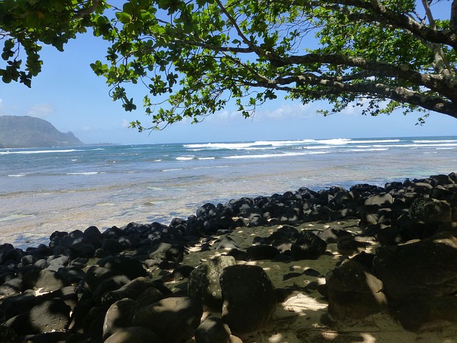 Free Kauai Hawaii photo and picture