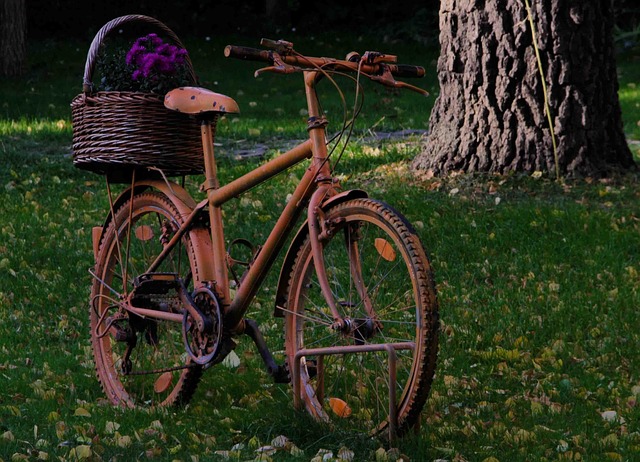Free Bicycle Old photo and picture