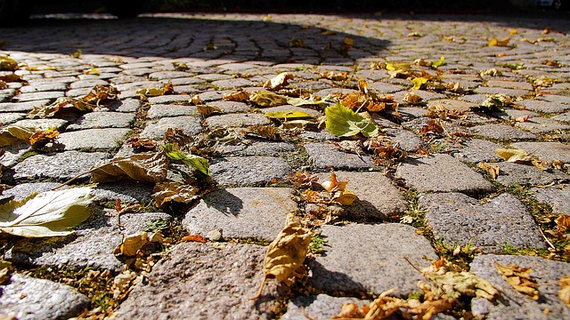 Free Fall Pavement photo and picture