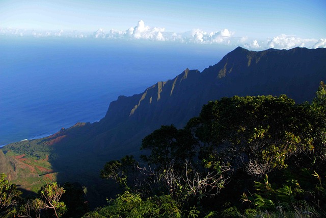 Free Hawaii Maui photo and picture