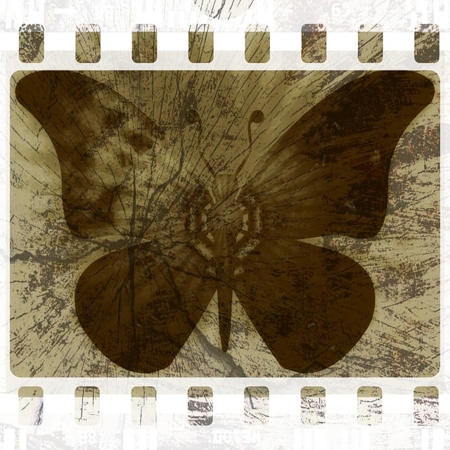 Free grunge butterfly background illustration